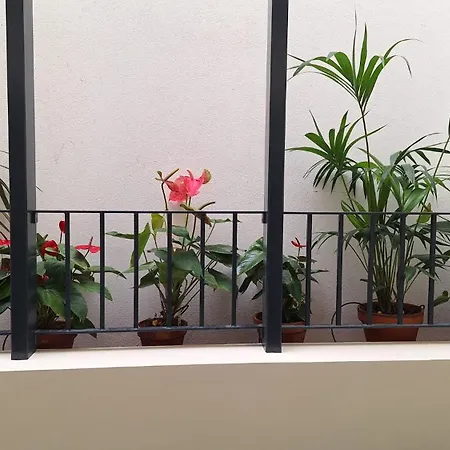 Theo's House *