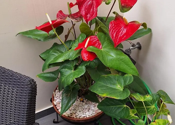 Theo's House Lägenhet *